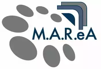 Partner 2